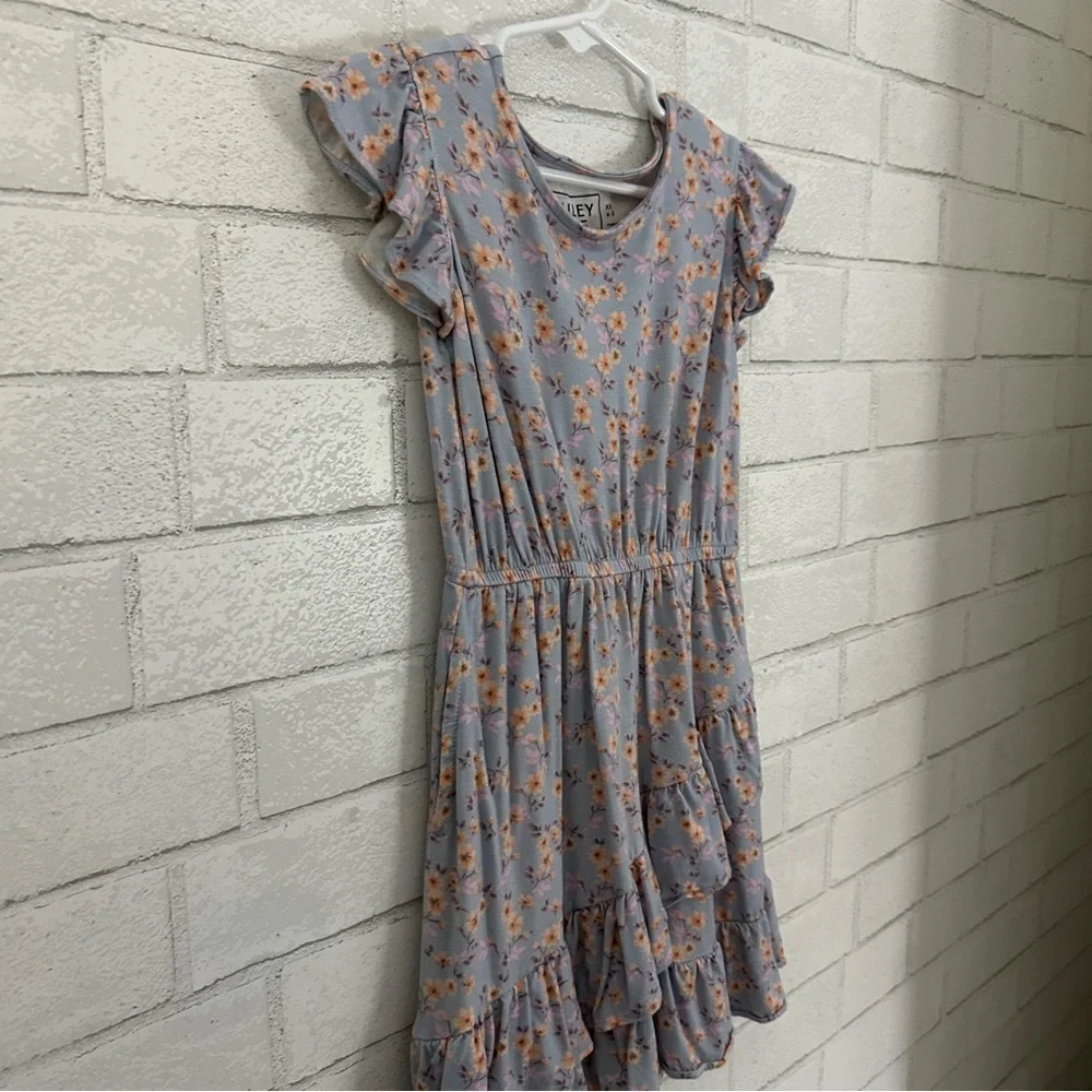 BAILEY LANE Stitch Fix Short Sleeve Flowered Ruffle Dress